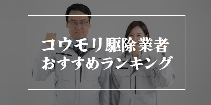 コウモリ駆除業者口コミ・評判の良いおすすめランキング11選比較【依頼するならどこ？選び方も紹介】