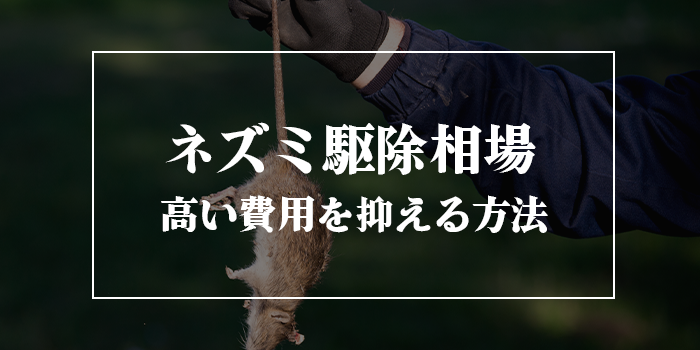 ネズミ駆除業者の費用相場は？高い料金を抑えるワザ【100万円はあり得る？】