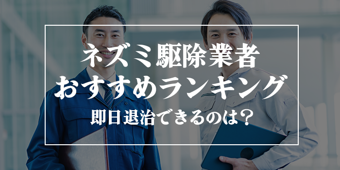 ネズミ駆除業者おすすめランキング12選比較【口コミ・評判の良い業者を紹介】