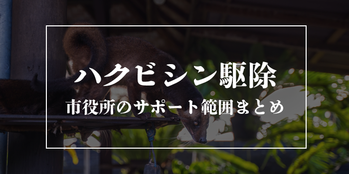 ハクビシンの駆除は市役所が無料でやってくれる?