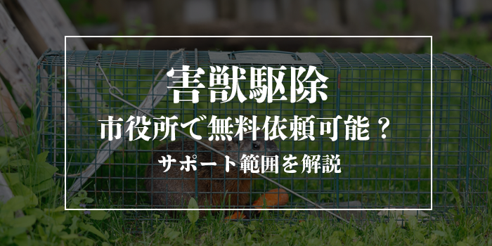 市役所に害獣駆除は無料で頼める?受けられるサポートを紹介