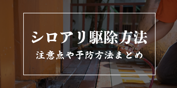 シロアリ駆除方法2選【自分でやるのは簡単？】