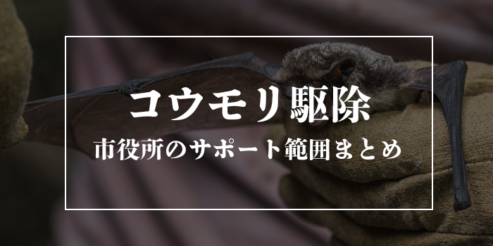 コウモリ駆除は市役所で無料？【どこまでサポートしてくれる？】