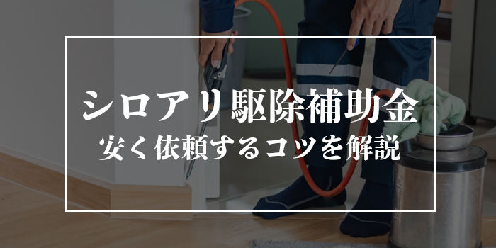 シロアリ駆除の補助金について徹底解説【極力お得に実施する方法】